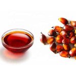 Crude Palm oil